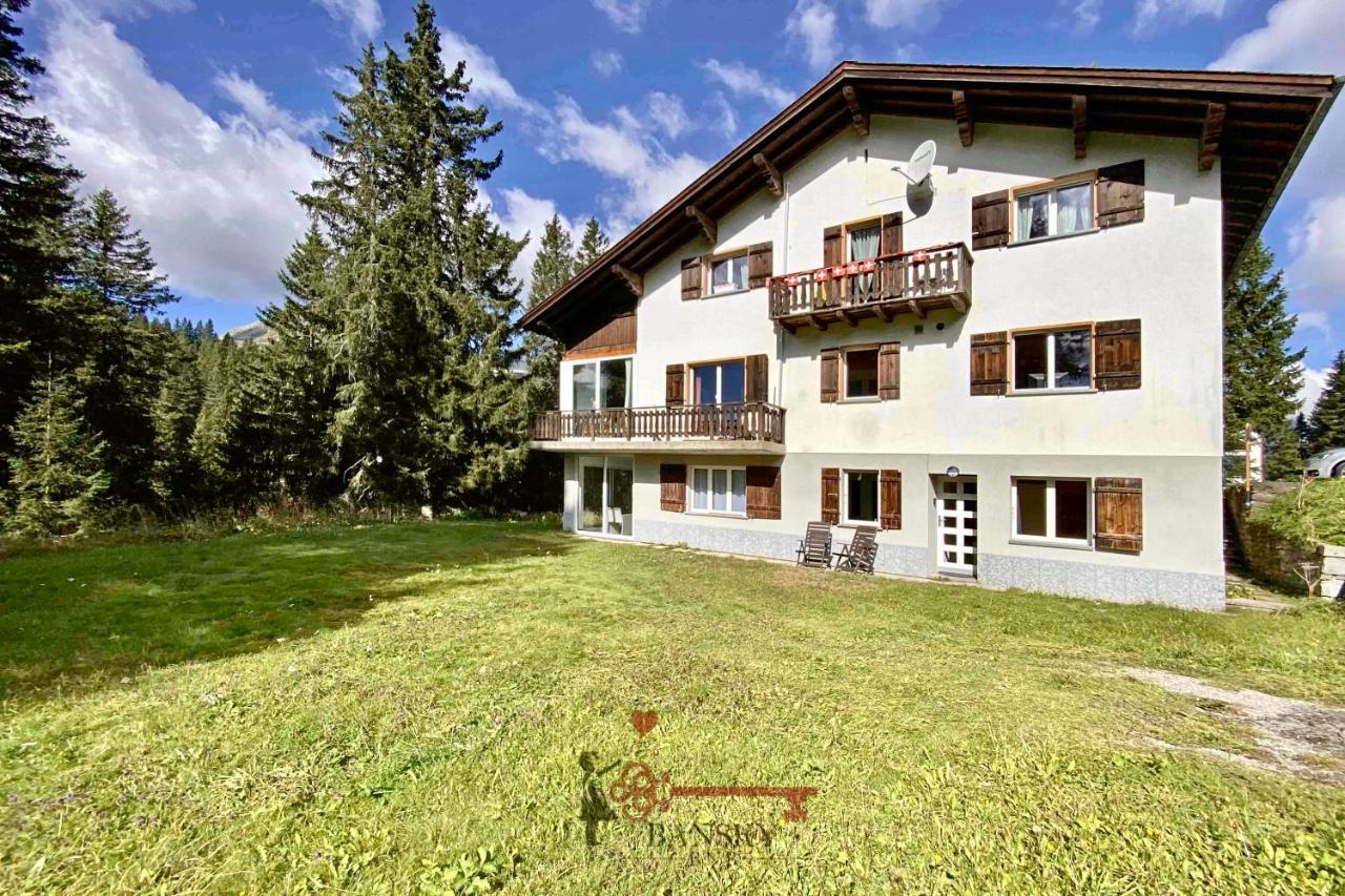 Chalet 5 Stars In San Bernardino, Ski Slopes And Hiking, Fireplace, 4 Snowtubes Free, Wi-Fi Free, For 8 Persons, Wonderful In All Seasons -By Easylife Swiss Eksteriør billede